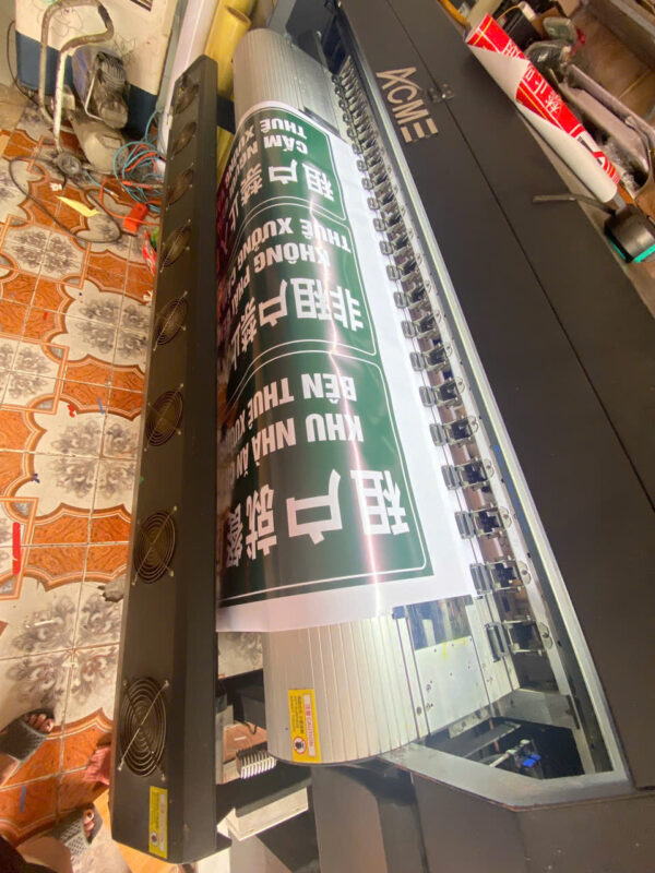 decal-hai-phong