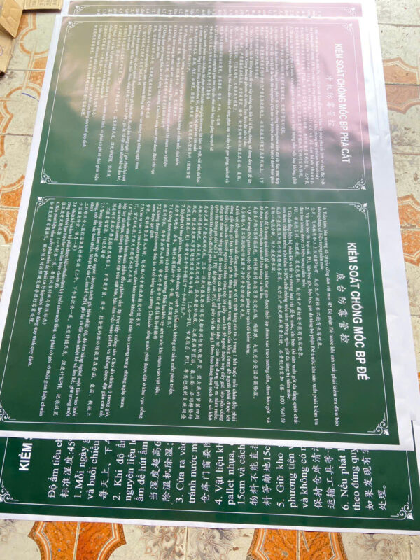 in-decal-lay-ngay-hai-phong