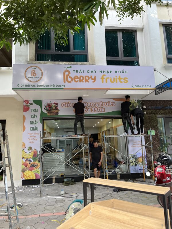Thiết kế và thi công shop trái cây nhập khẩu sang trọng, sạch sẽ