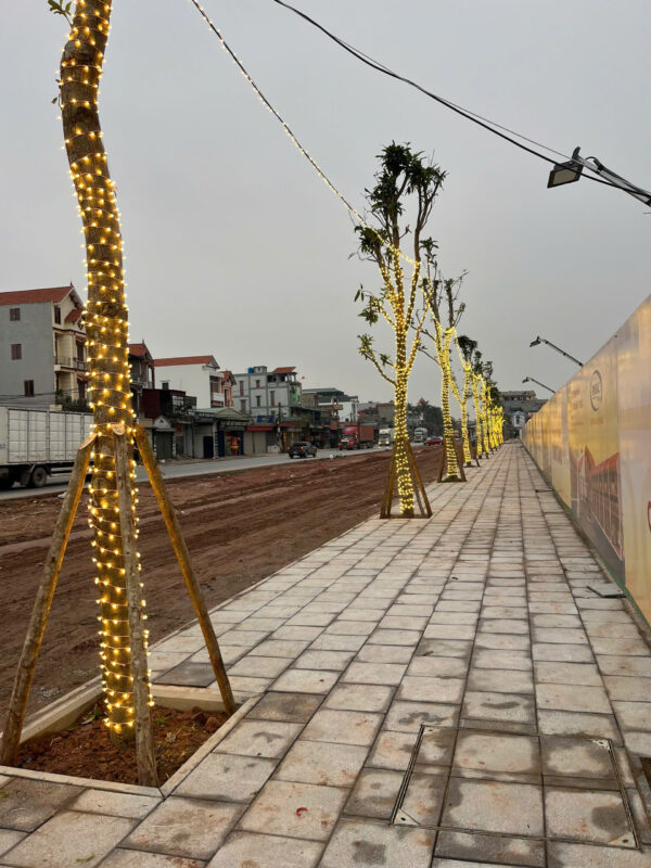 Led nháy trang trí sân vườn lung linh ban đêm